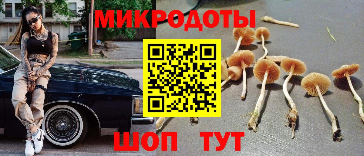 Галлюциногенные грибы мицелий Тара